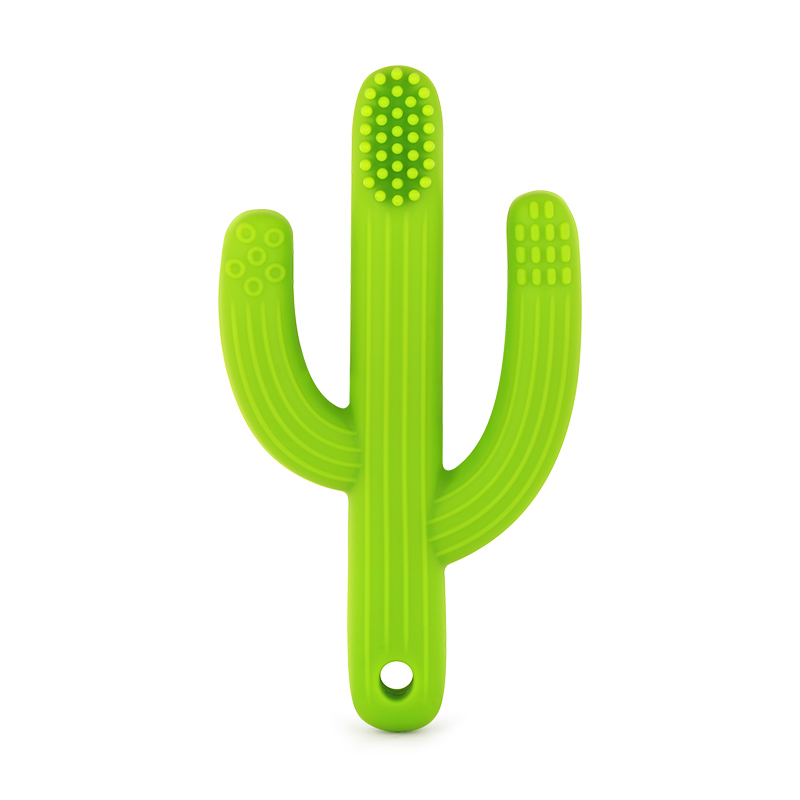 Cactus gum